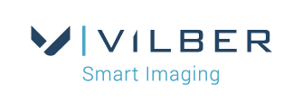 logo-vilber-default[1].png